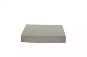 BSG 30-145-006 BSG Фильтр, воздух во внутренном пространстве